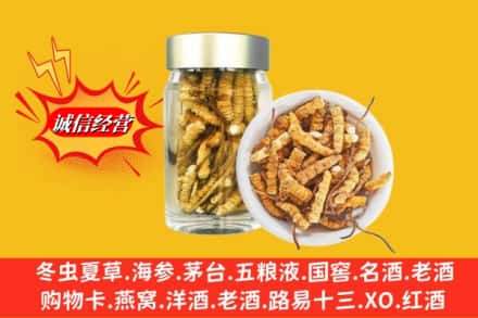 安康市岚皋回收散虫草