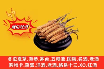 安康市岚皋求购回收虫草多少钱每克